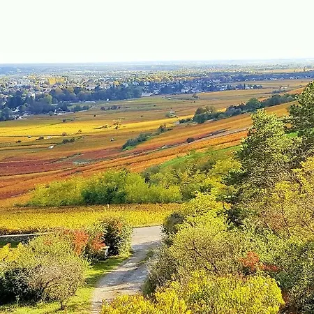 La Maison De L'Ecu : Charme Et Vue Incroyable Beaune  Buitenkant foto