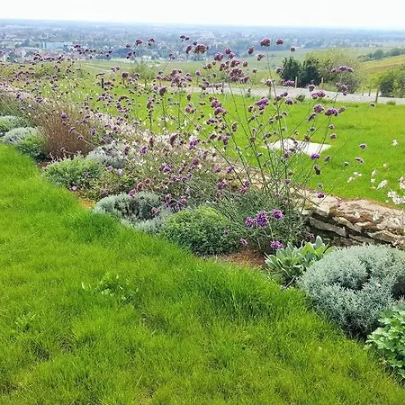 La Maison De L'Ecu : Charme Et Vue Incroyable Beaune  Buitenkant foto