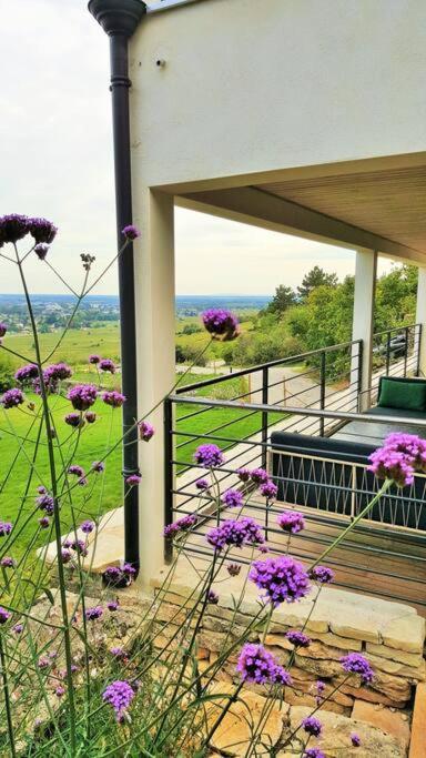 La Maison De L'ecu : Charme Et Vue Incroyable Holiday home