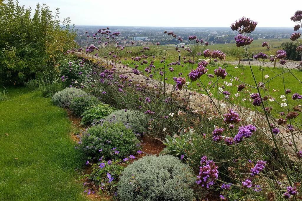 La Maison De L'ecu : Charme Et Vue Incroyable